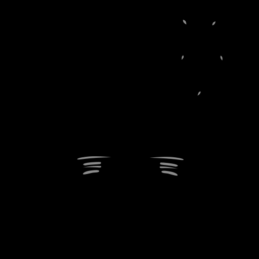 c11080060_20spm