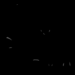 c11080150_20spm