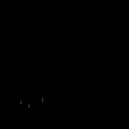 c11090090_20spm