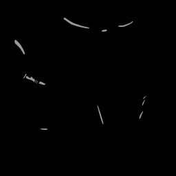 c11130030_20spm