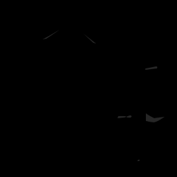 c11140160_20spm