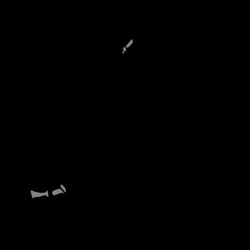 c11160060_20spm