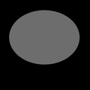 c11210010_20sp