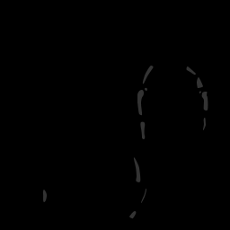 c11210250_20spm