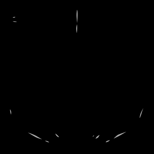 c11500060_20spm