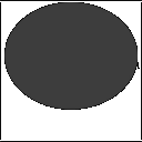 c11600020_20sp