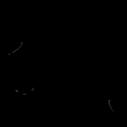 c11702070_20spm