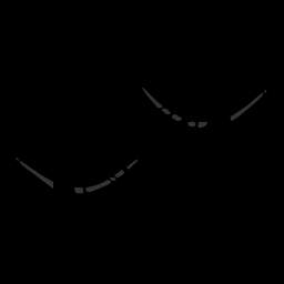 c11703010_20spm