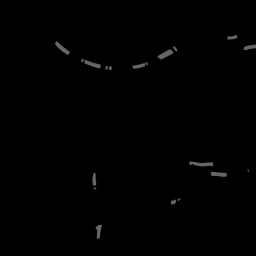 c11704060_20spm