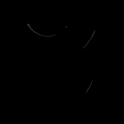 c11705050_20spm