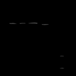 c11707010_20spm