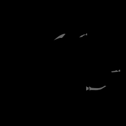 c11708020_20spm