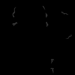 c11710040_20spm