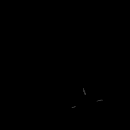 c11714020_20spm