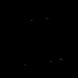 c11717040_20spm