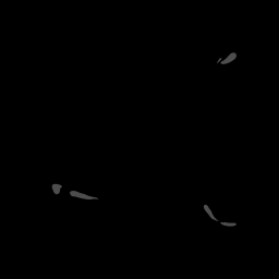 c11721100_20spm