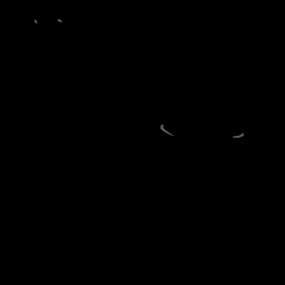 c11723060_20spm