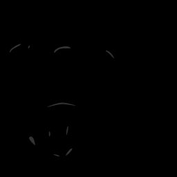 c11726010_20spm