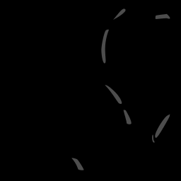 c11728060_20spm
