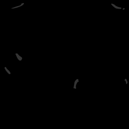 c11728100_20spm