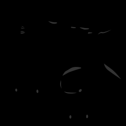c11731010_20spm