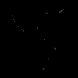 c11731130_20spm
