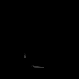 c11732100_20spm