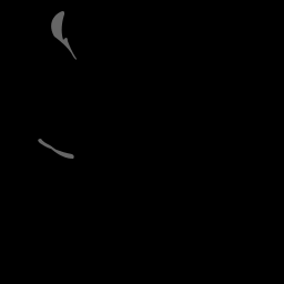 c11734070_20spm