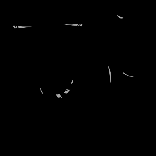 c20000010_20spm