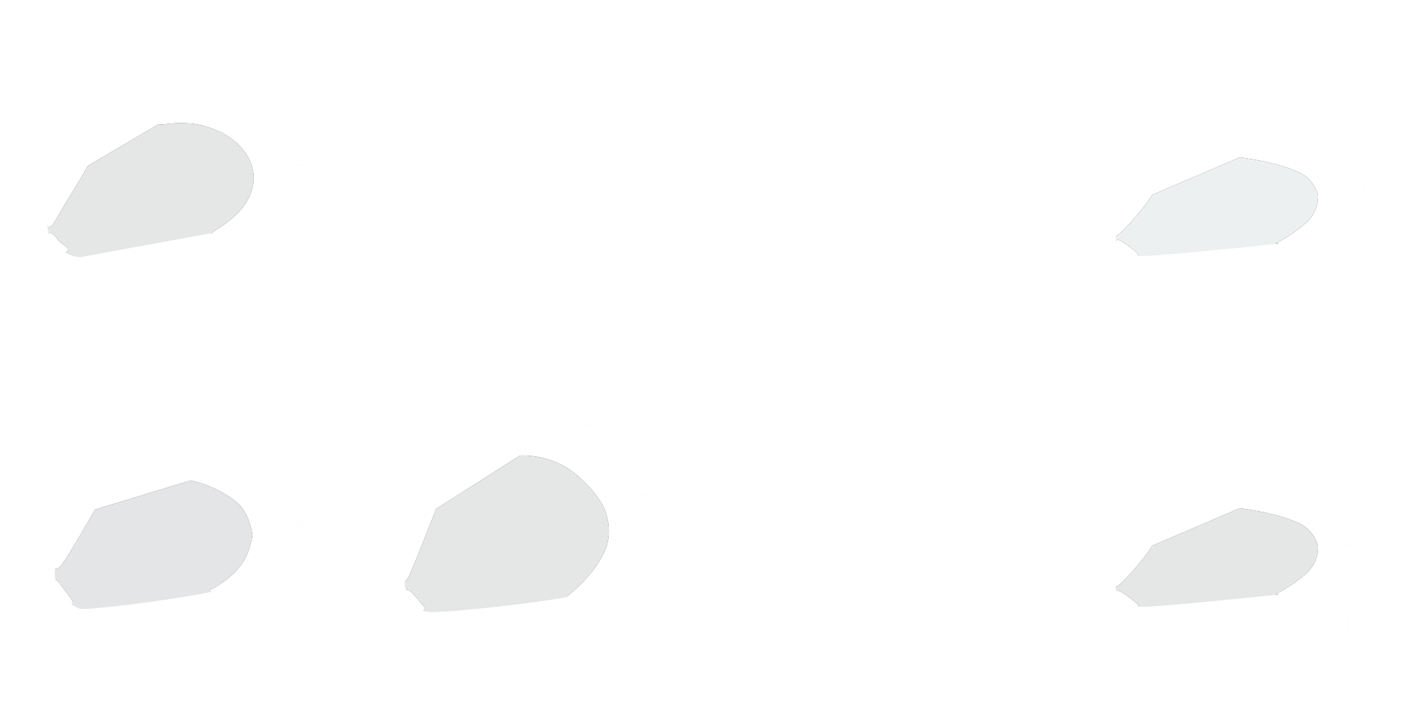 eye_L_11