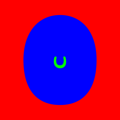 pupil_R_24msk