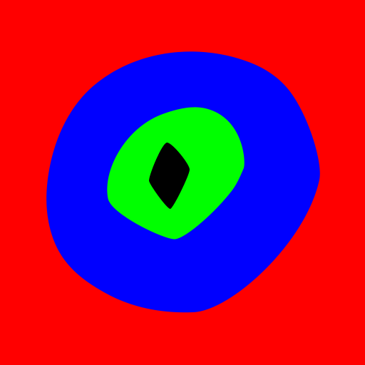 pupil_L_41msk