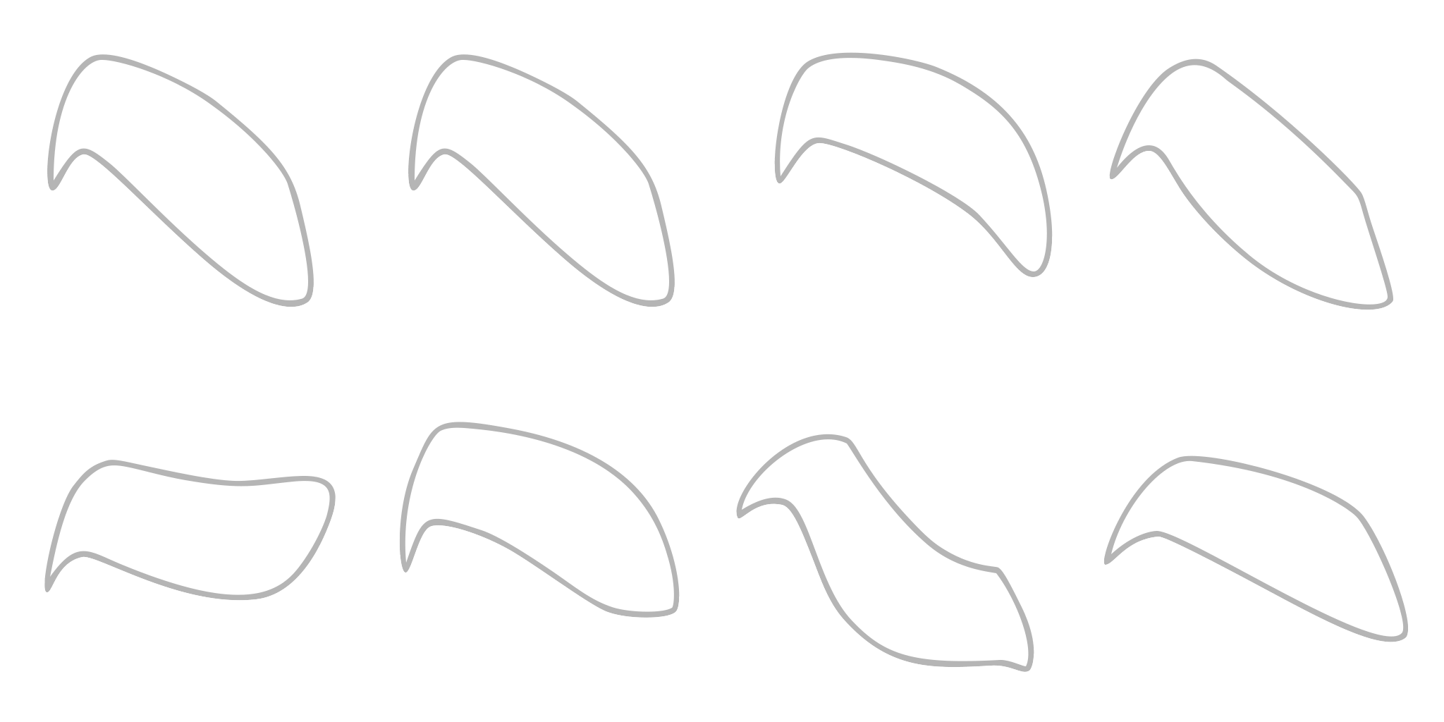 eyebrow_R_35