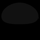 c11010030_20sp