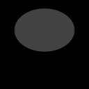 c11170010_20sp
