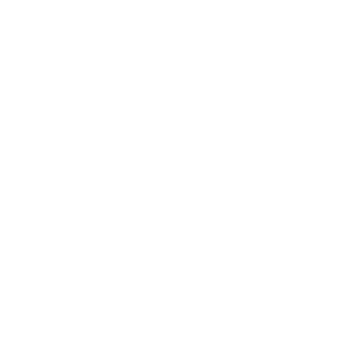 w22h_tire01.2