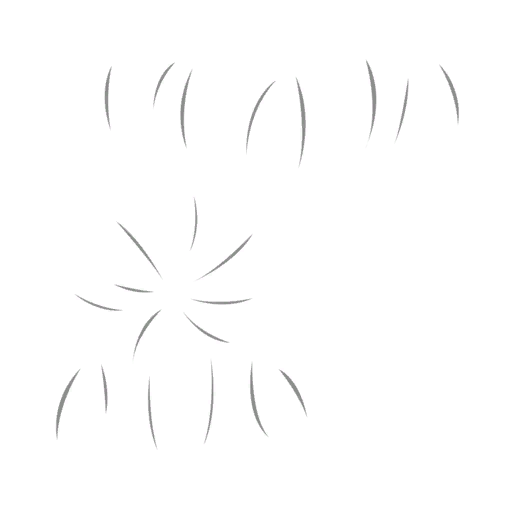 c04810000_20