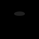 s11010129_20sp
