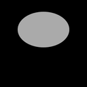 s11180510_10sp