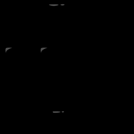 s11180510_10spm