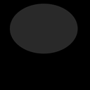 s11600030_10sp