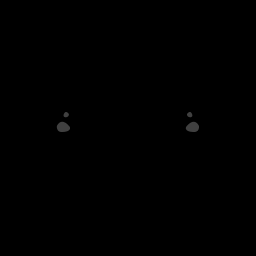 s05020110_10spm