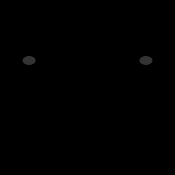 s06039230_10spm