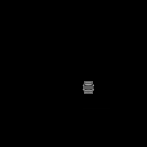 u07030010_10spm