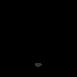 s11804030_10spm