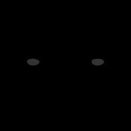 s11806020_10spm