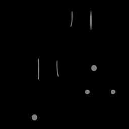 s11806050_10spm