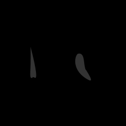 s11806070_10spm