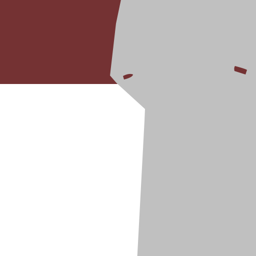 s11906030_10