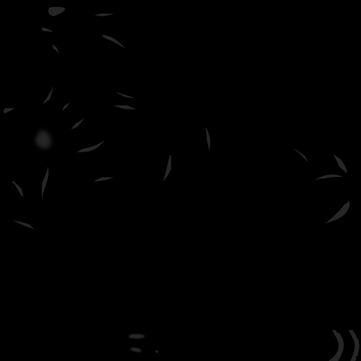 a000150_10spm